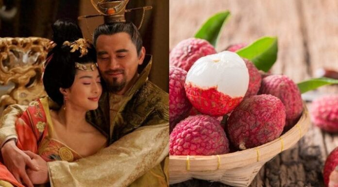 “The Vietnamese Fruit That Sold for a Premium in Japan: A Beauty Elixir and Anti-Aging Remedy Loved by Ancient Concubines”