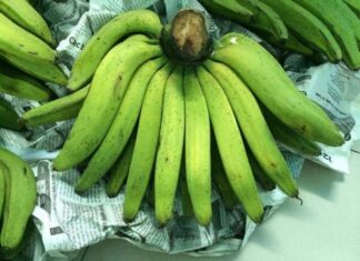 The Forgotten Fruit: A Tasty Treat with a Twist, Now a Famous Delicacy in Town.