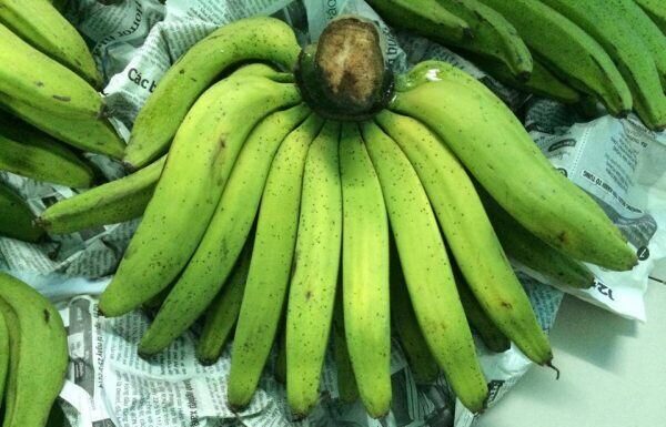 The Forgotten Fruit: A Tasty Treat with a Twist, Now a Famous Delicacy in Town.