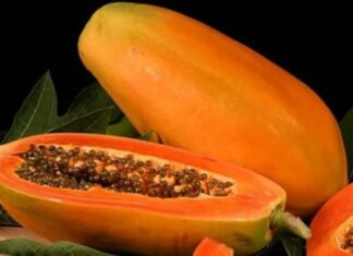The Amazing Benefits of Ripe Papaya
