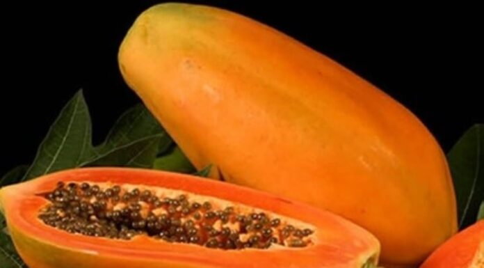 The Amazing Benefits of Ripe Papaya