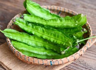 The Super Bean: A Nutritional Powerhouse That Rivals Ginseng