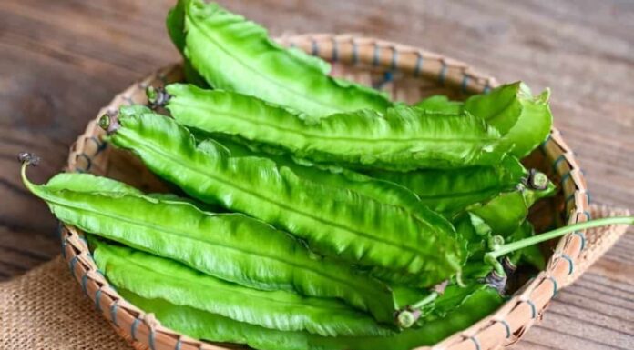 The Super Bean: A Nutritional Powerhouse That Rivals Ginseng