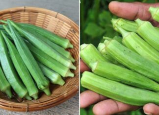The Ultimate Guide to Perfectly Boiled Snow Peas: A Crisp, Green Delight