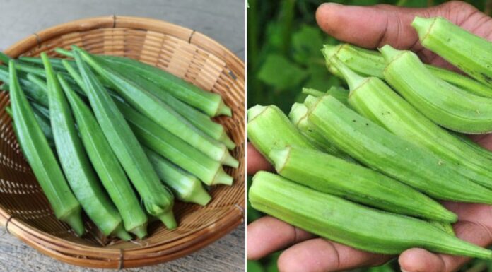 The Ultimate Guide to Perfectly Boiled Snow Peas: A Crisp, Green Delight