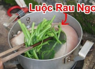 The Perfect Rescue for Your Over-Boiled Morning Glory: A Quick Fix to Keep Your Greens Vibrant and Delicious