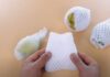 The Magic of Fruit Nets: Unveiling the Ultimate Money-Saving Hack