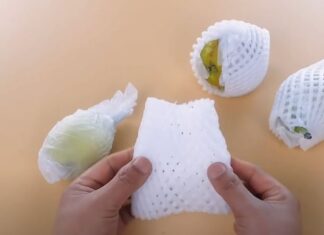 The Magic of Fruit Nets: Unveiling the Ultimate Money-Saving Hack