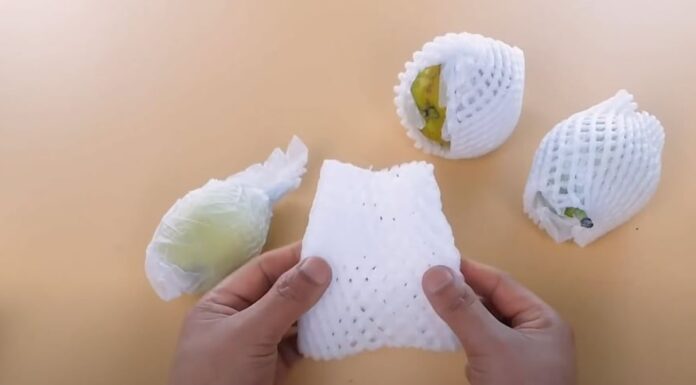 The Magic of Fruit Nets: Unveiling the Ultimate Money-Saving Hack