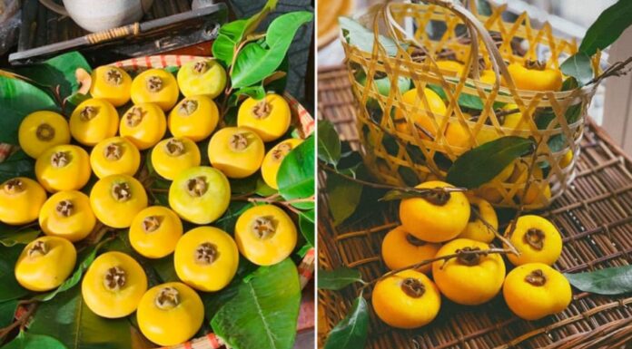 The Captivating Aroma of the Fruit: Why It’s Best to Just Smell and Not Consume