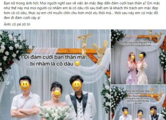 The Wedding Guest Who Stole the Show: A Dress, a Debate, and a Drowning Bride