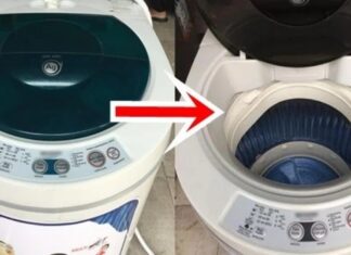 Should the Washing Machine Door Be Left Open or Closed When Not in Use? 90% of Women Don’t Know the Right Answer.
