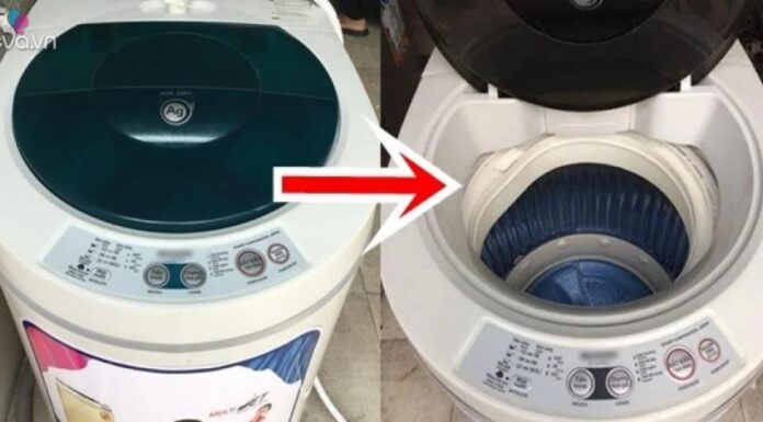 Should the Washing Machine Door Be Left Open or Closed When Not in Use? 90% of Women Don’t Know the Right Answer.