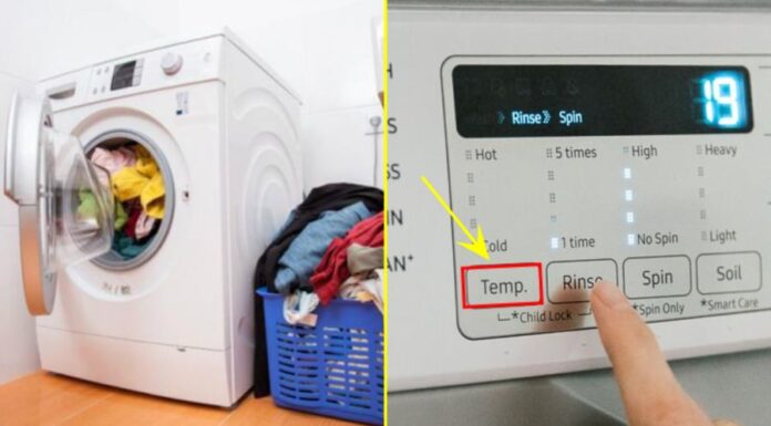 The Magic Button: A Secret to Slashing Your Energy Bills