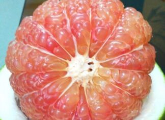 The Ultimate Guide to Selecting the Sweetest, Juiciest Grapefruit: Unveiling the Secret to Perfect Fruit Picking