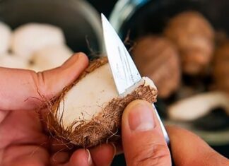 The Ultimate Kitchen Hack: Peel Potatoes Like a Pro, No Itch and Time-saving!