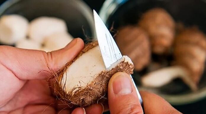 The Ultimate Kitchen Hack: Peel Potatoes Like a Pro, No Itch and Time-saving!