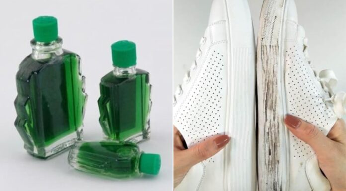 The Magic of Essential Oils: 7 Surprising Uses for This Potent Remedy