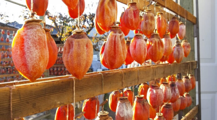 The Ultimate Guide to Telling Apart Da Lat and Chinese Wind-Dried Apricots