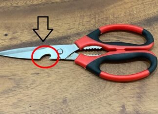 The Serrated Edge: Beyond the Aesthetic