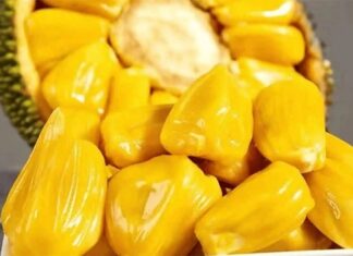 Two Natural Ways to Ripen Jackfruit Quickly