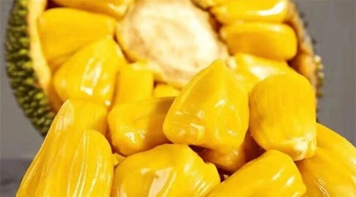 Two Natural Ways to Ripen Jackfruit Quickly