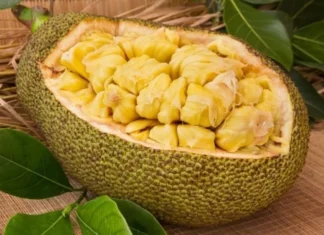 “The Ultimate Guide to Selecting and Ripening the Perfect Jackfruit”