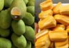 The Ancient Wisdom of “Eating Ripe Jackfruit”: Is It Still Relevant Today?