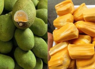 The Ancient Wisdom of “Eating Ripe Jackfruit”: Is It Still Relevant Today?