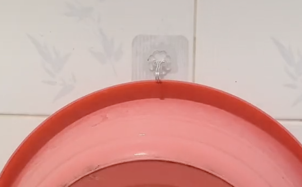 The Ultimate Guide to Wall Hooks: Save Money and Utilize Your Space Like Never Before