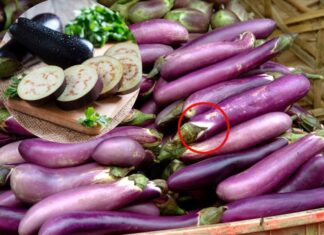 The Secret to Selecting the Perfect Eggplant: A Whiter Shade of Purple