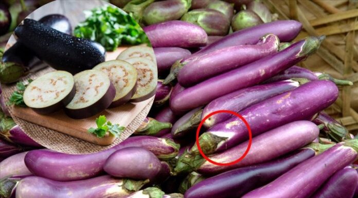 The Secret to Selecting the Perfect Eggplant: A Whiter Shade of Purple