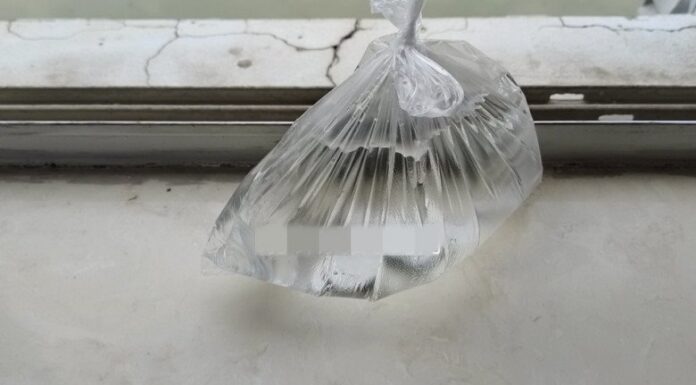 The Summer’s Savvy Hack: A Few Coins on the Windowsill