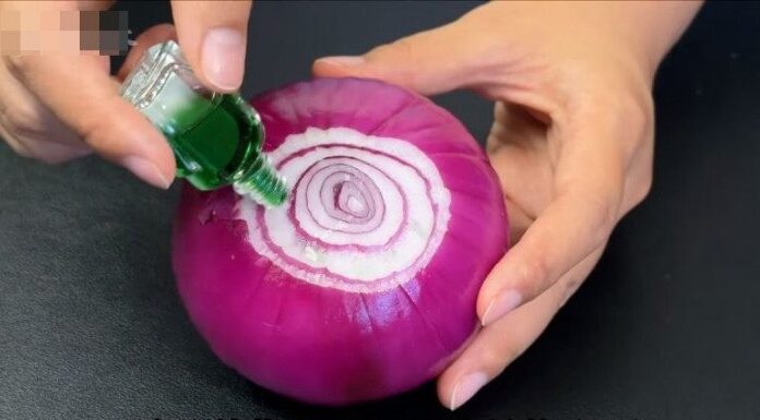 “A Summer Breeze of Relief: The Onion’s Secret Superpower”