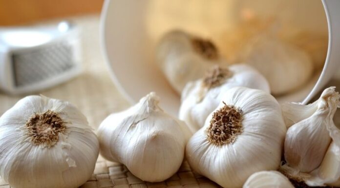 The Ultimate Guide to Choosing and Storing Garlic: A Culinary Delight