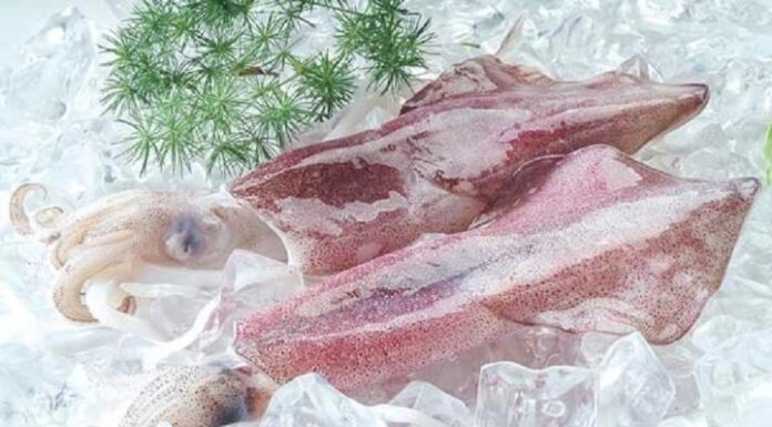 The Ultimate Guide to Cleaning Squid and Octopus: A Quick and Easy Method