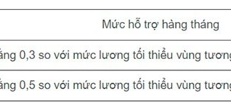 What is the Maximum Monthly Support Provided to Village Health Workers and Midwives?