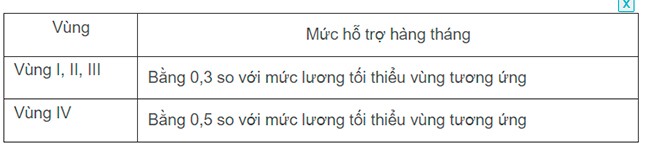 What is the Maximum Monthly Support Provided to Village Health Workers and Midwives?