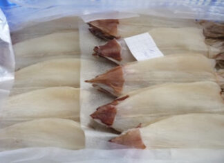 What is the Price of Freshly Dried Squid? Where to Buy in Ho Chi Minh City?