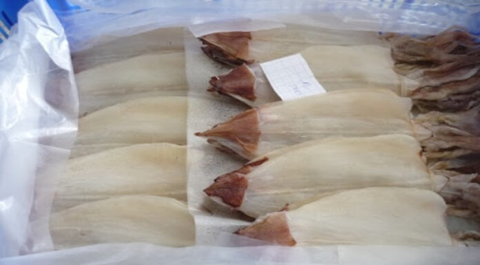 What is the Price of Freshly Dried Squid? Where to Buy in Ho Chi Minh City?