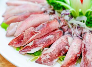 The Ultimate Guide to Egg Ink Absorption: A Single Taste is All it Takes