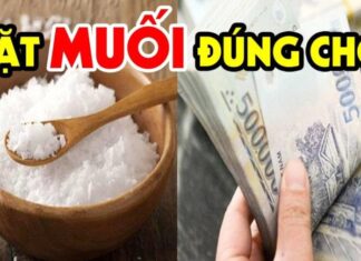 The Magic of Salt: Enhancing Your Space, Inviting Prosperity and Positive Energy