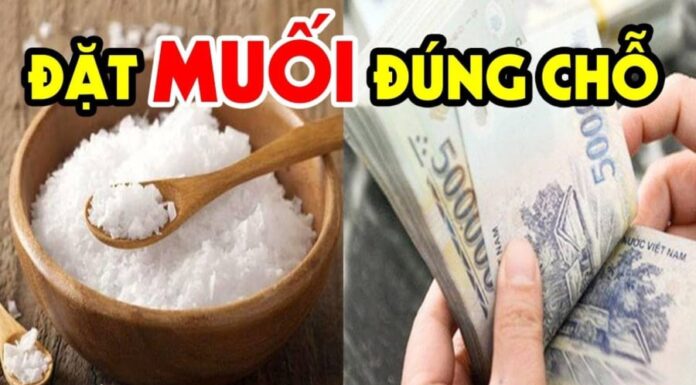 The Magic of Salt: Enhancing Your Space, Inviting Prosperity and Positive Energy