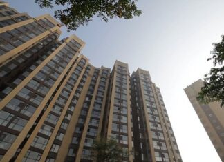 What’s the Highest Floor Mosquitoes Can Reach? An Expert’s Answer Reveals My Misguided Choice.