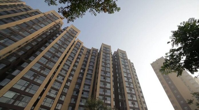 What’s the Highest Floor Mosquitoes Can Reach? An Expert’s Answer Reveals My Misguided Choice.