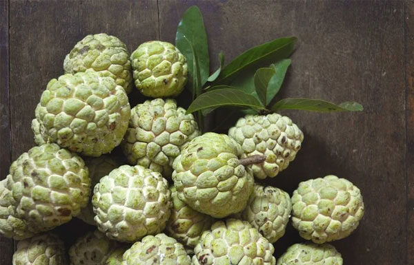 The Art of Picking Ripe Persimmons