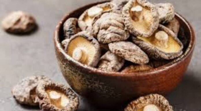 Unlock the Secret to Delicious Mushrooms: A Simple Trick for Ultimate Flavor and Texture