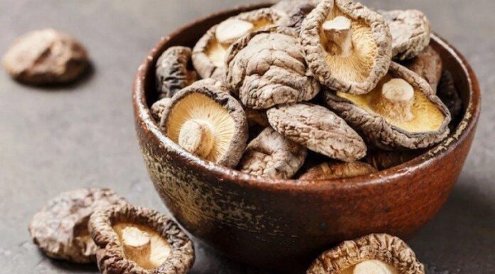 Unlock the Secret to a Tastier Mushroom: A Simple Soak to Transform Your Culinary Experience