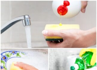 The Ultimate Guide to DIY Dish Soap: 4 Effective and Safe Formulas to Remove Stubborn Stains