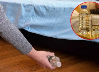 Why You Should Toss a Water Bottle Under the Bed in a Hotel Room